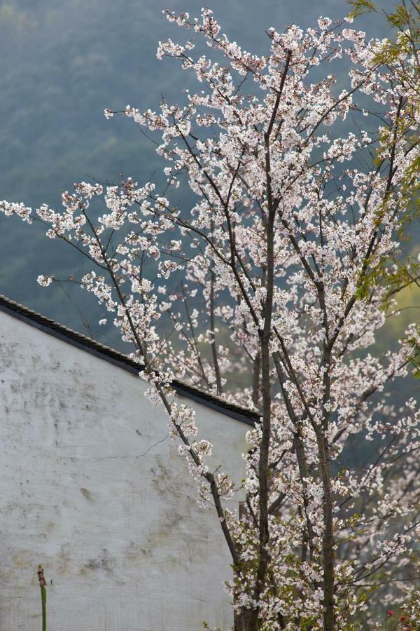 Pusen Lanting Shaoxing Hotel Exterior foto